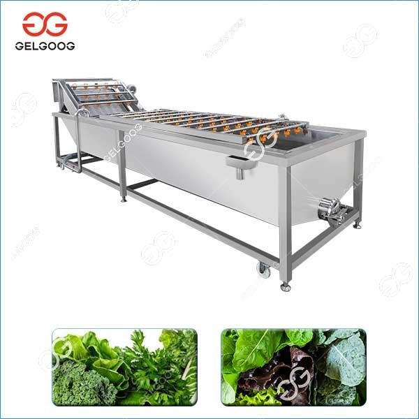  Leafy Vegetable Washing Machine For Sale 2