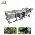  Leafy Vegetable Washing Machine For Sale 4