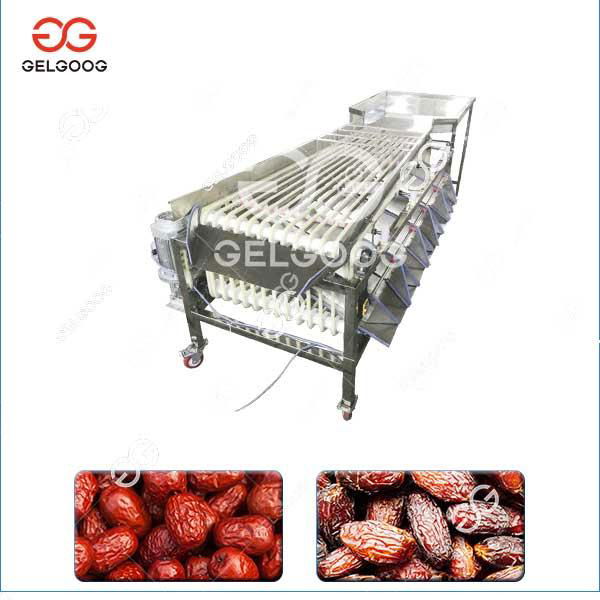  Leafy Vegetable Washing Machine For Sale 5