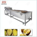 Strawberry Washing Machine System Berry Processing Equipment Manufacture
