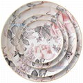 Ceramic plate dinnerware bone china