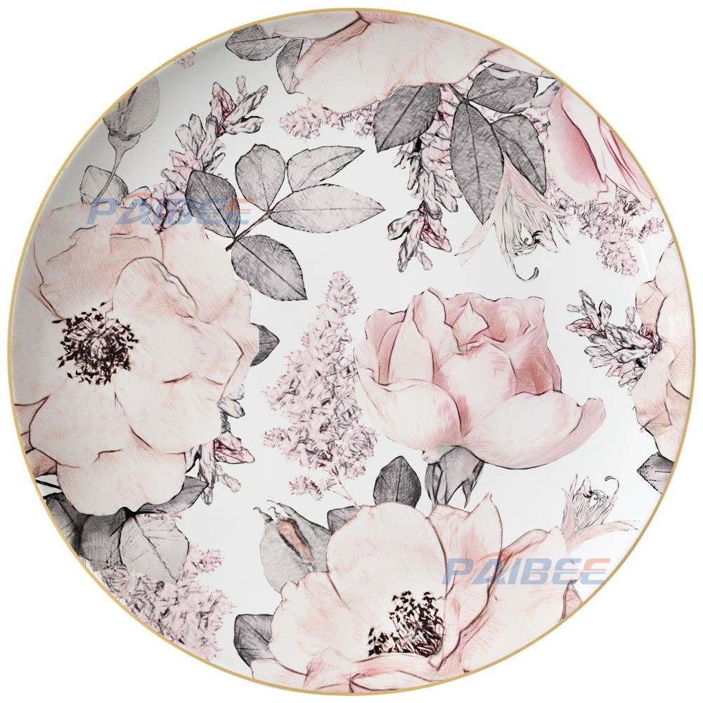 Ceramic plate dinnerware bone china dinner set  2