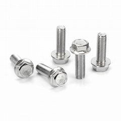 Hexagonal Bolts