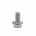 Hexagonal Flange Bolts 1