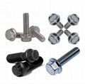 Hexagonal Flange Bolts 2