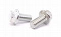 Hexagonal Flange Bolts 4