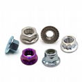 Hexagonal Flange Nuts 1