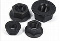 Hexagonal Flange Nuts 2