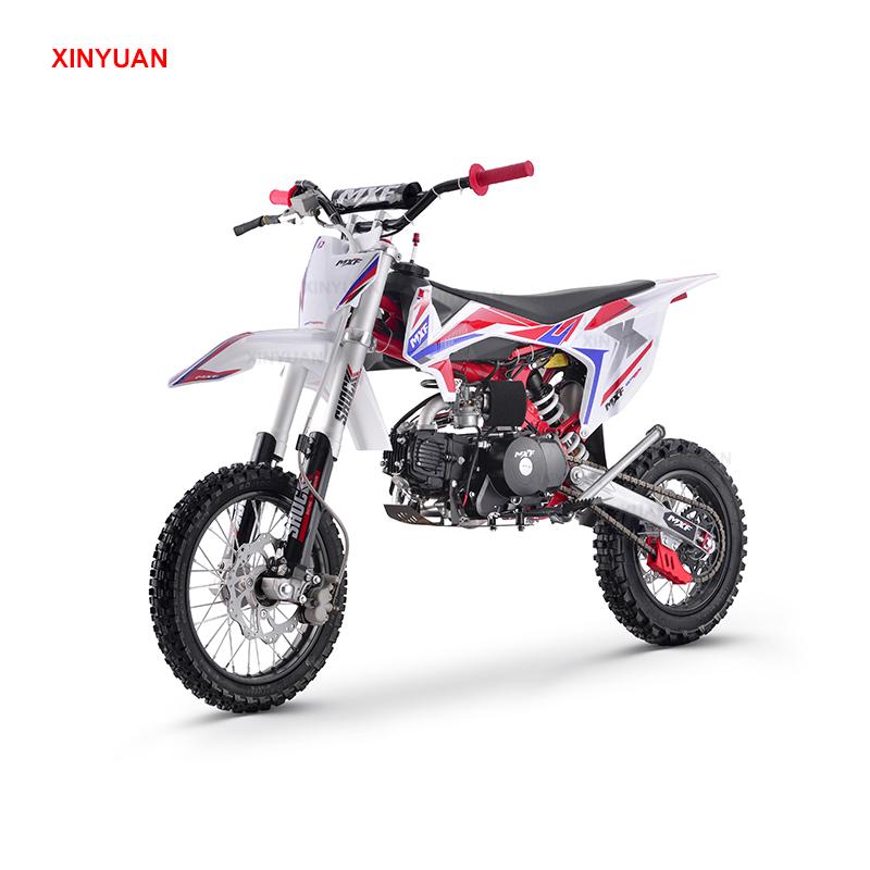 db 110 dirt bike