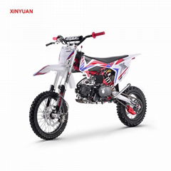 Dirt Bike 110cc (DB608)