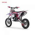 Dirt Bike 110cc (DB608) 3