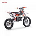 Dirt Bike 140cc(DB608 Pro) 3