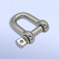 Stainless Steel JIS Type D Shackle 1