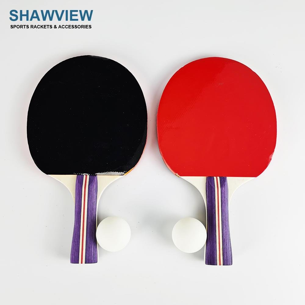 Shawview table tennis racket set 