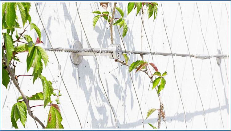 Stainless Steel Wire Rope Mesh 100*100mm Cable Mesh Green Plant Climbing Trellis 3