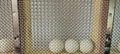 3x3 mesh 316l stainless steel crimped woven wire mesh 4