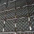 Stainless Steel Vibrating Screen Netting /crimped Wire Mesh/crusher 