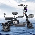 H-11-3 Light Domestic Electric Tricycles with Reversing Function  3