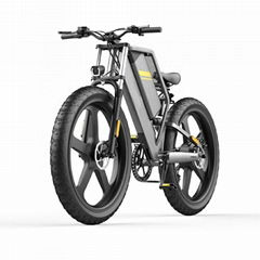 H-18 Cross-coutry Electric Bike  