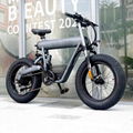 H-19 Cross-Coutry Electric Bike     Electric Off-Road Bike Wholesale    1