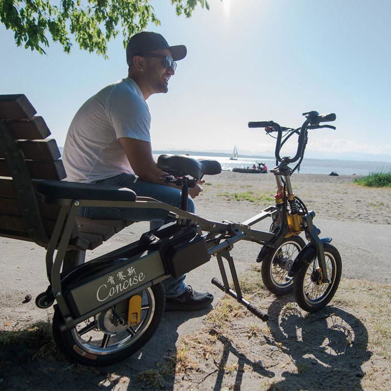 Reverse Three Wheel Foldable Electric Tricycle 