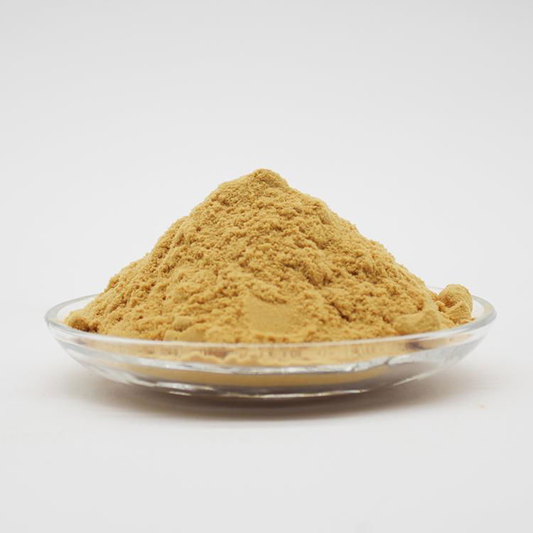 Pfs Drinking Grade Polyferric Sulfate Yellow Powder Pfs