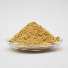 Pfs Drinking Grade Polyferric Sulfate Yellow Powder Pfs