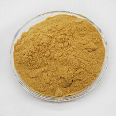 Coagulant Polymeric Ferric Sulfate Pfs with Yellow Polymer Powder for Water Trea