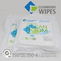 China Class 10 Cleanroom Wipes