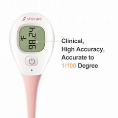 High Accuracy Digital Thermometer