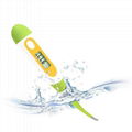 Digital Thermometer