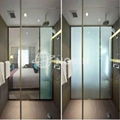 High Electrified Privacy Glass, Frosted