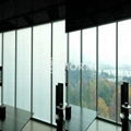 High Electrified Privacy Glass, Frosted Laminated Safety Glass 2