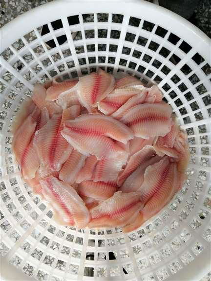 Frozen tilapia fillet  2