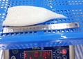 frozen squid tube  2