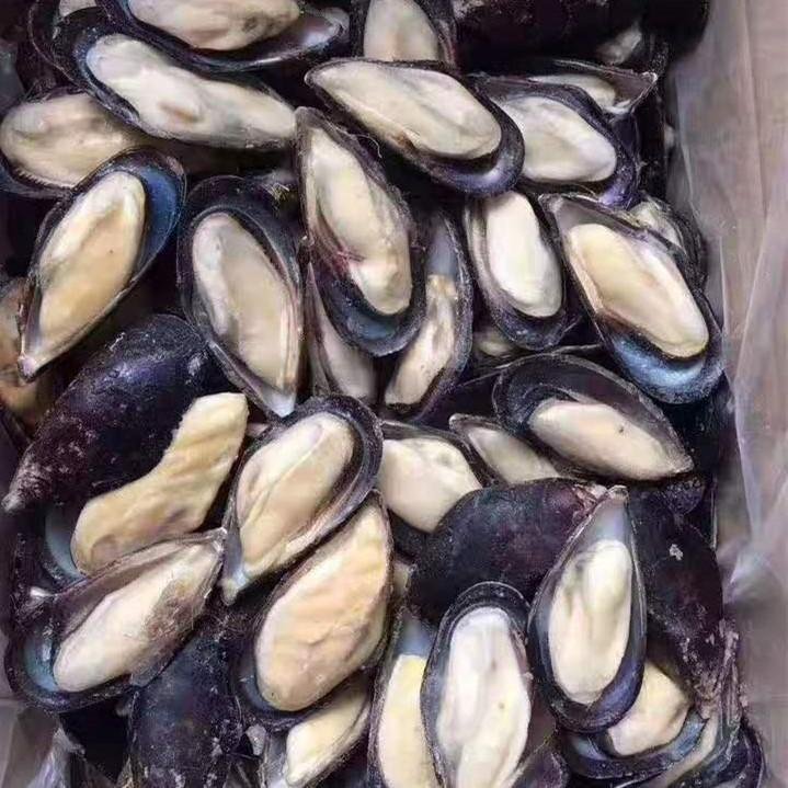 frozen half shell mussel 2