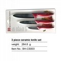 3 Piece Ceramic Knife Set With ABS+TPR