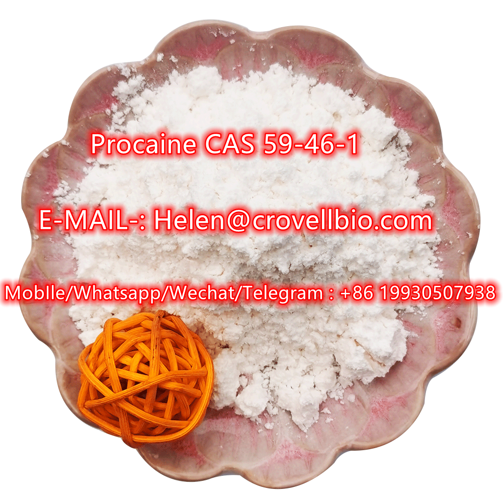 +8619930507938Manufacture of high-quality Procaine CAS 59-46-1