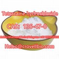 +8619930507938 supply Tetracaine hydrochloride CAS 136-47-0 1