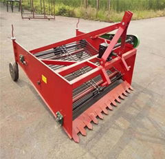 Potato harvester planter 