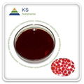 Astaxanthin Oil 1