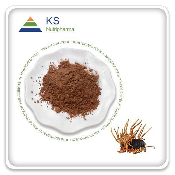  Cordyceps Mushroom Extract