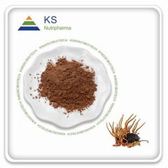 Cordyceps Mushroom Extract