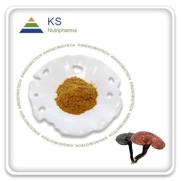 Reishi Mushroom Extract