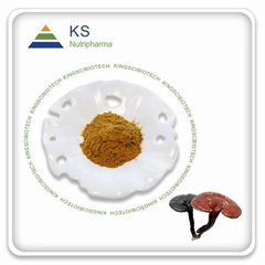 Reishi Mushroom Extract