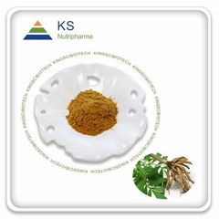 Valerian Extract