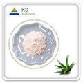 Aloe Vera Leaf Extract