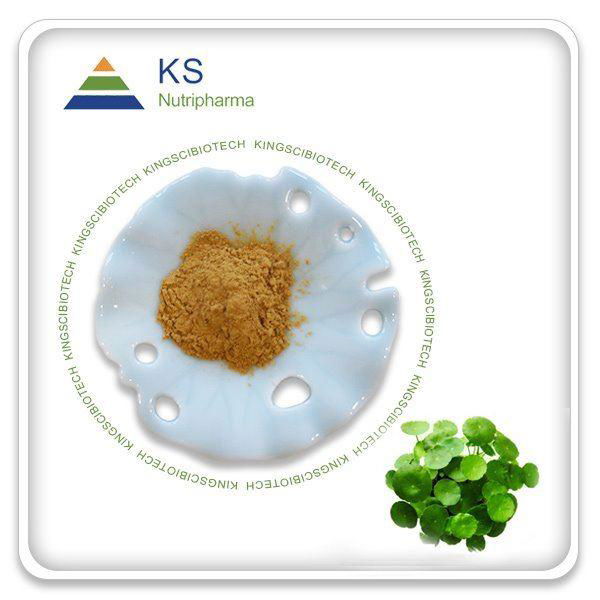  Centella Asiatica Leaf Extract