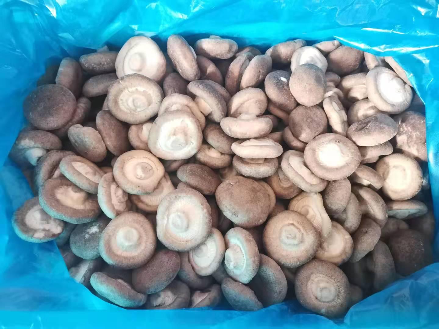 冷冻香菇 4