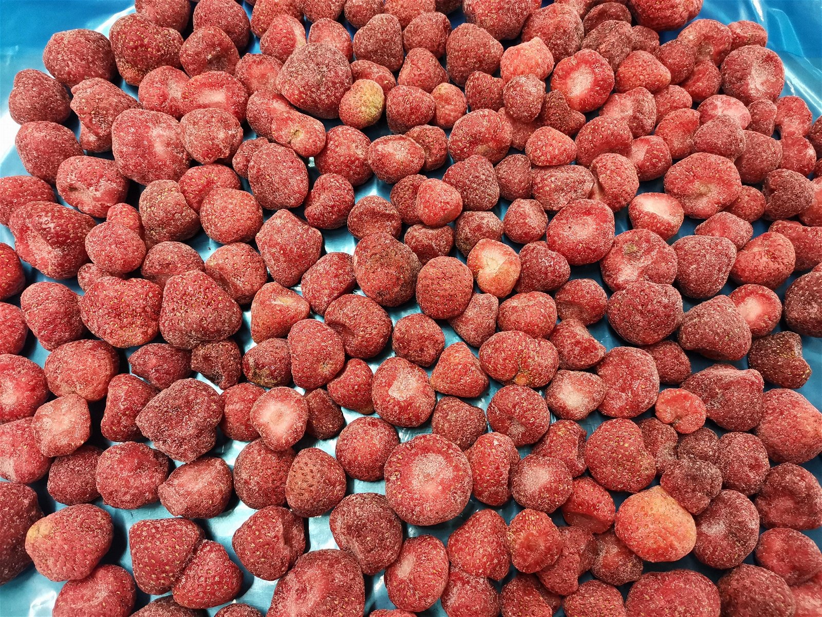 冷凍草莓 2